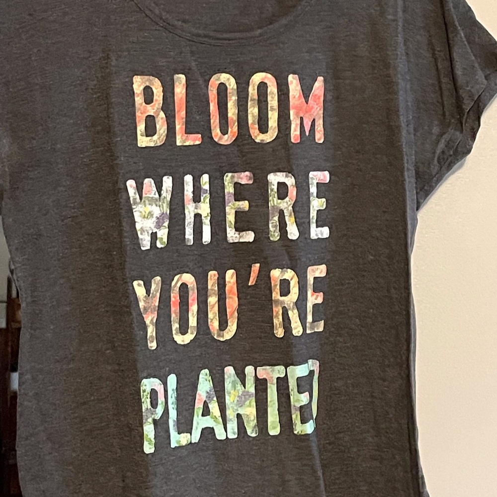 2 Sonoma cotton tees sz M